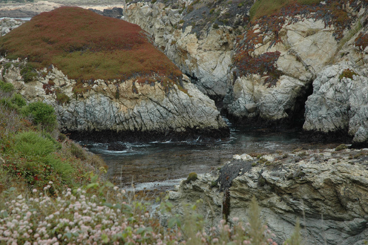 Point Lobos 052.jpg